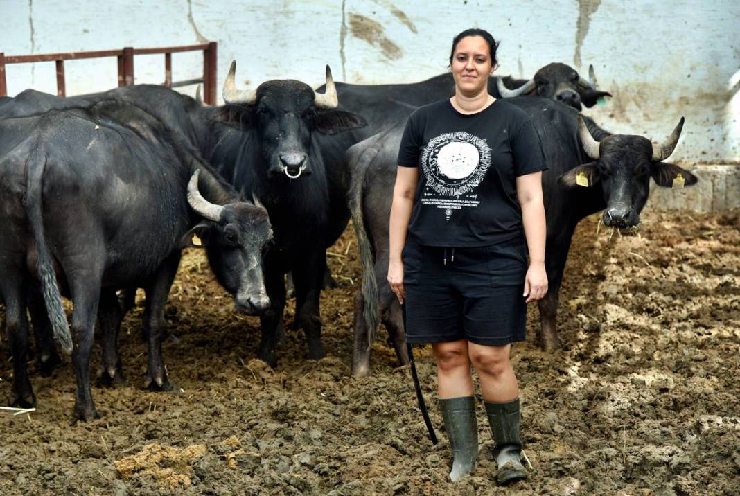 İş bulamayınca köyüne dönüp manda sütü satmaya başladı: Şimdi patron oldu! İletişim fakültesi mezunuydu, besici oldu 1